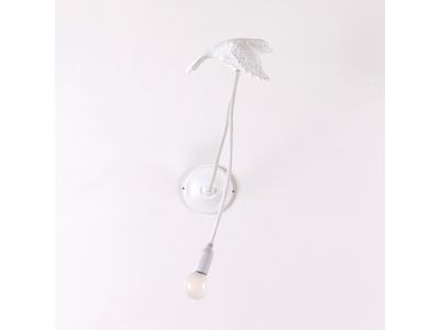 d_-blanc-front-4.jpg