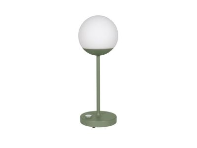 d_mooon-max-lampe-nomade-led-d-exterieur-rechargeable-h41cm-fermob-cactus-front-2098.jpg