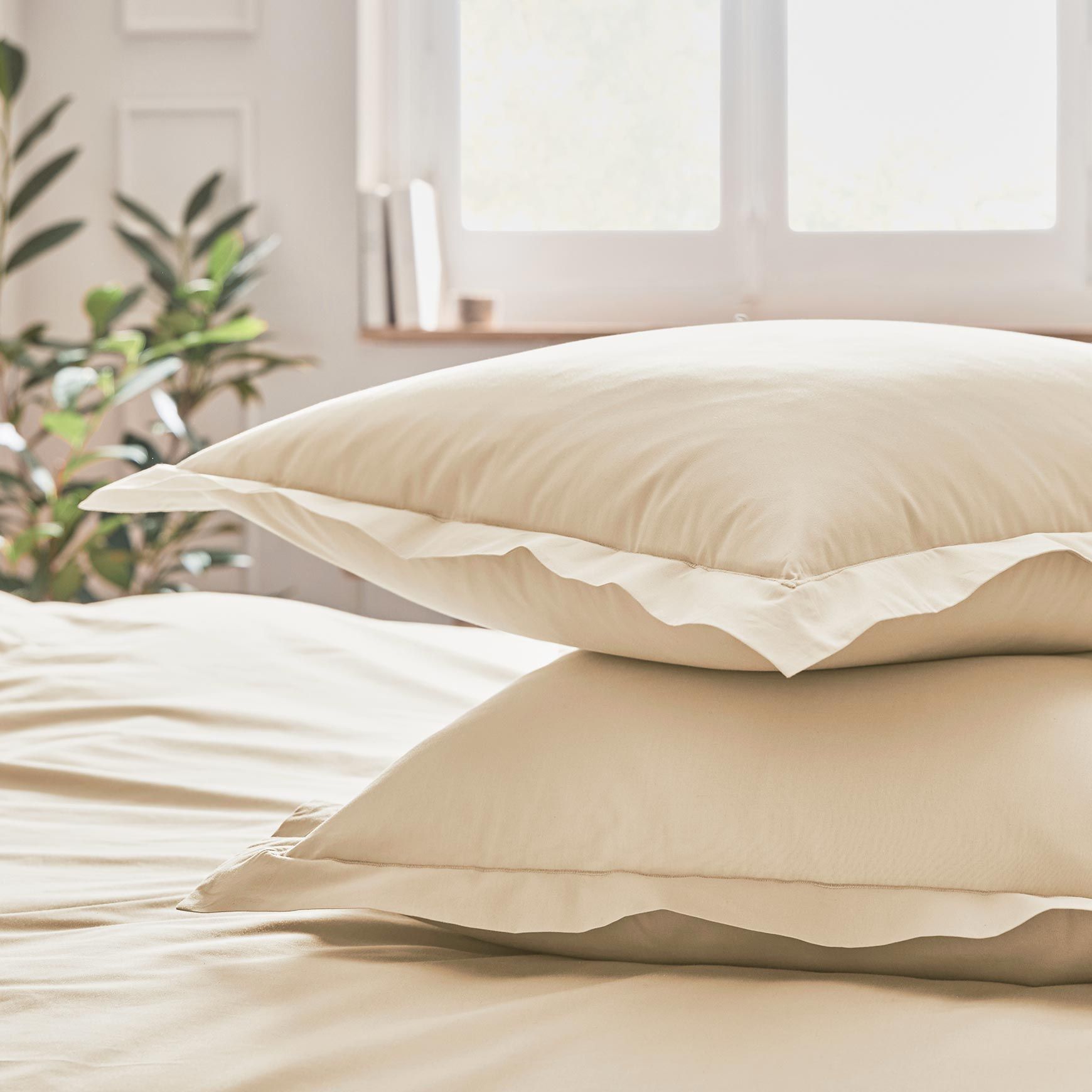Taie d'oreiller PERCALE - MONTELEONE