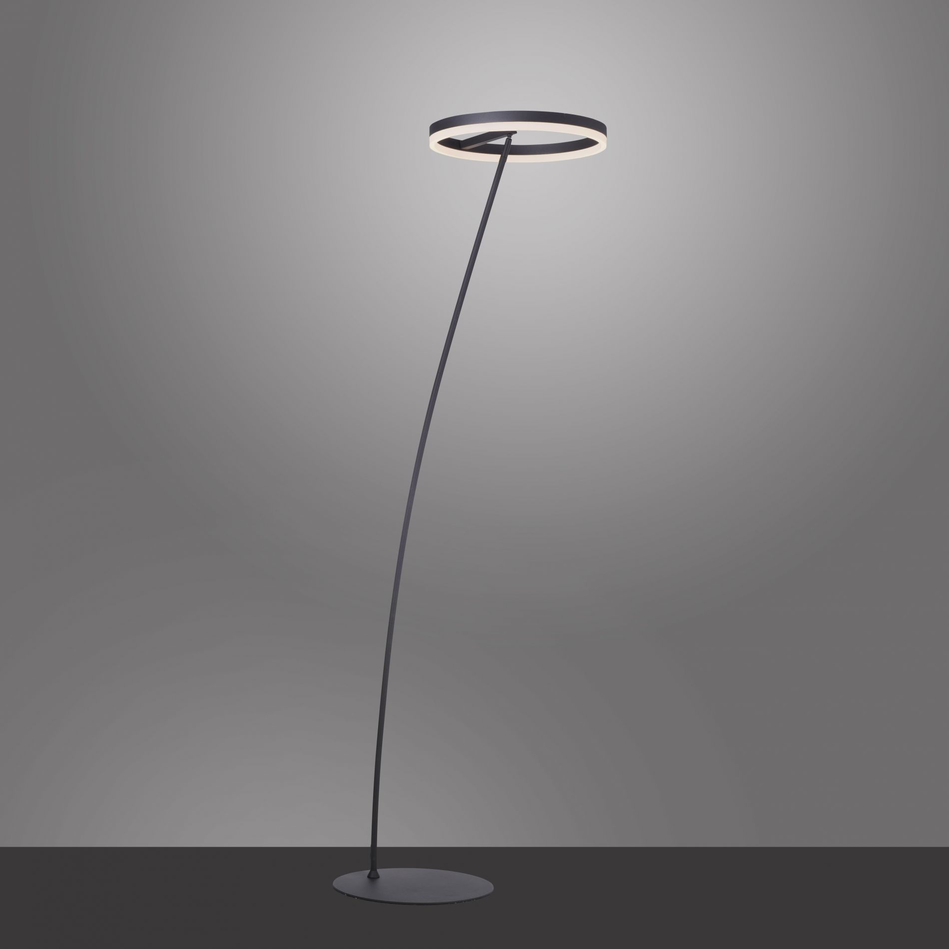 Lampadaire LED TITUS en métal gris anthracite