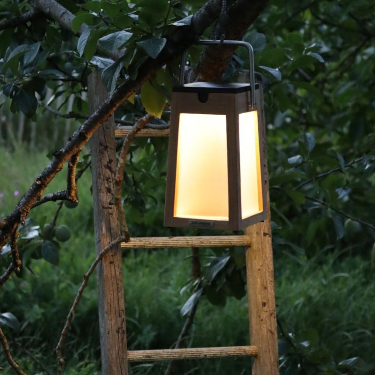 Lanterne solaire extérieur LED TINK en teck couleur bois - Keria