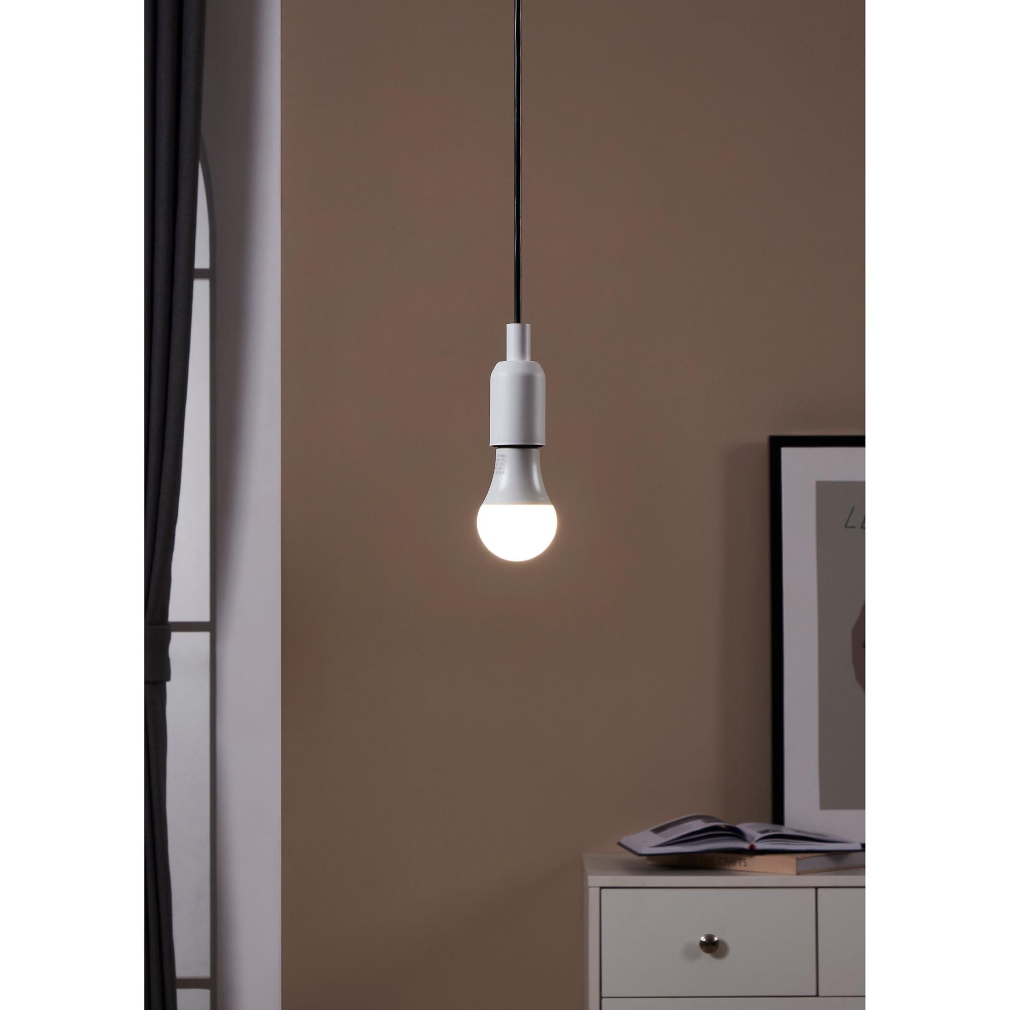 Ampoule Led Classic E27 verre opale forme standard 13W