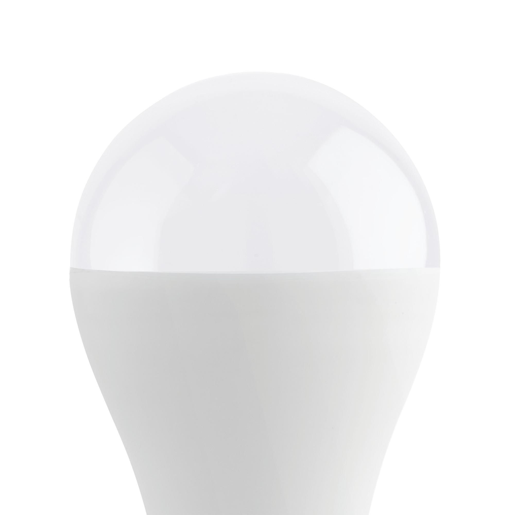 Ampoule Led Classic E27 verre opale forme standard 13W