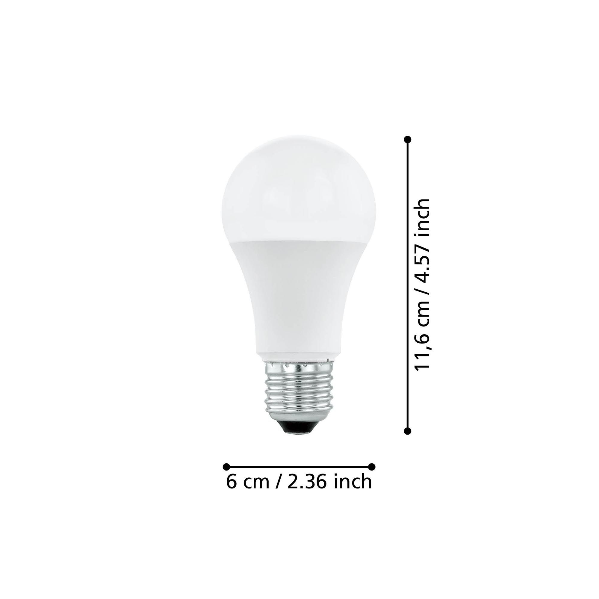 Ampoule Led Classic E27 verre opale forme standard 13W