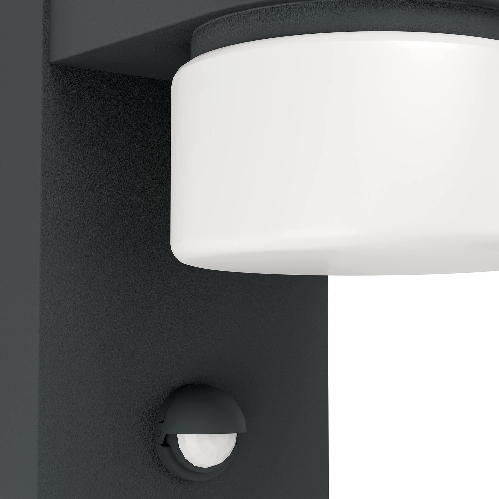 Applique extérieure détecteur LED ATOLLARI anthracite H23cm