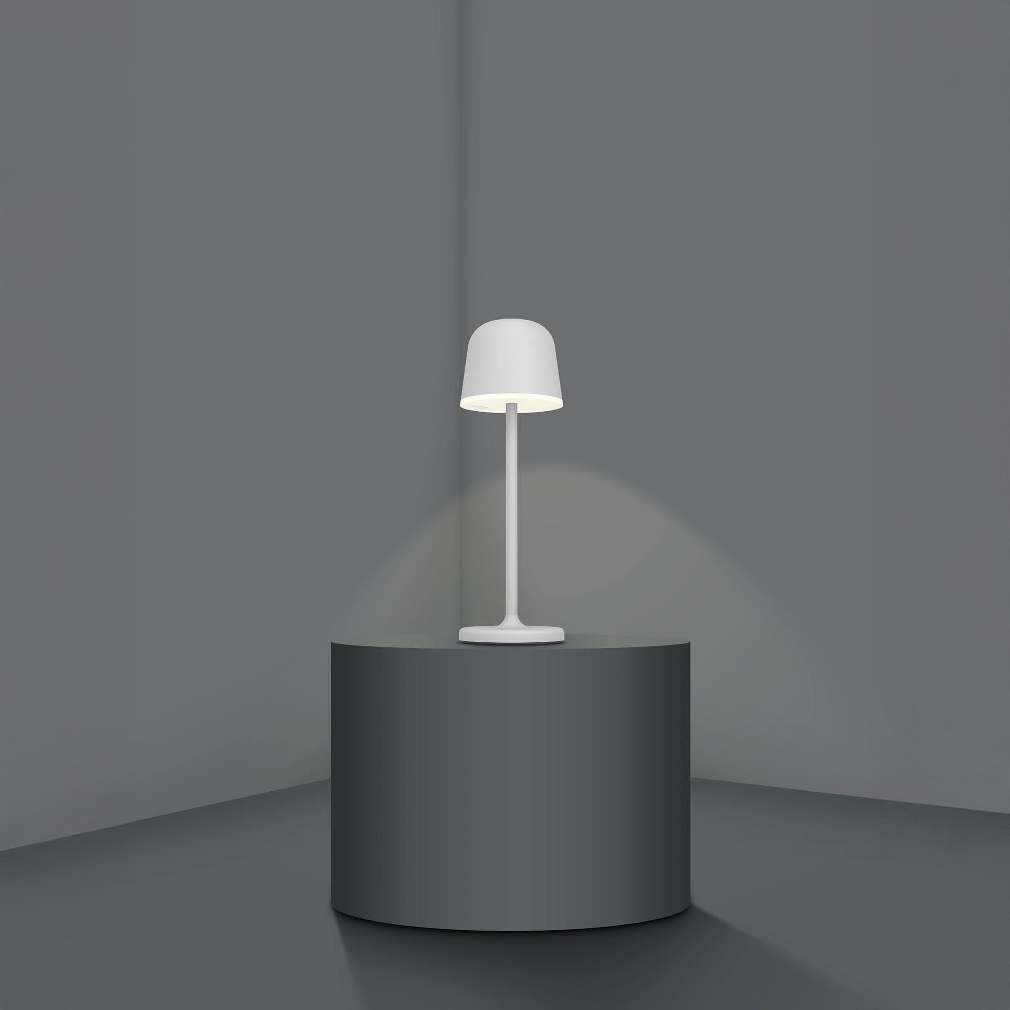 Lampe extérieure LED MANNERA blanc H34cm