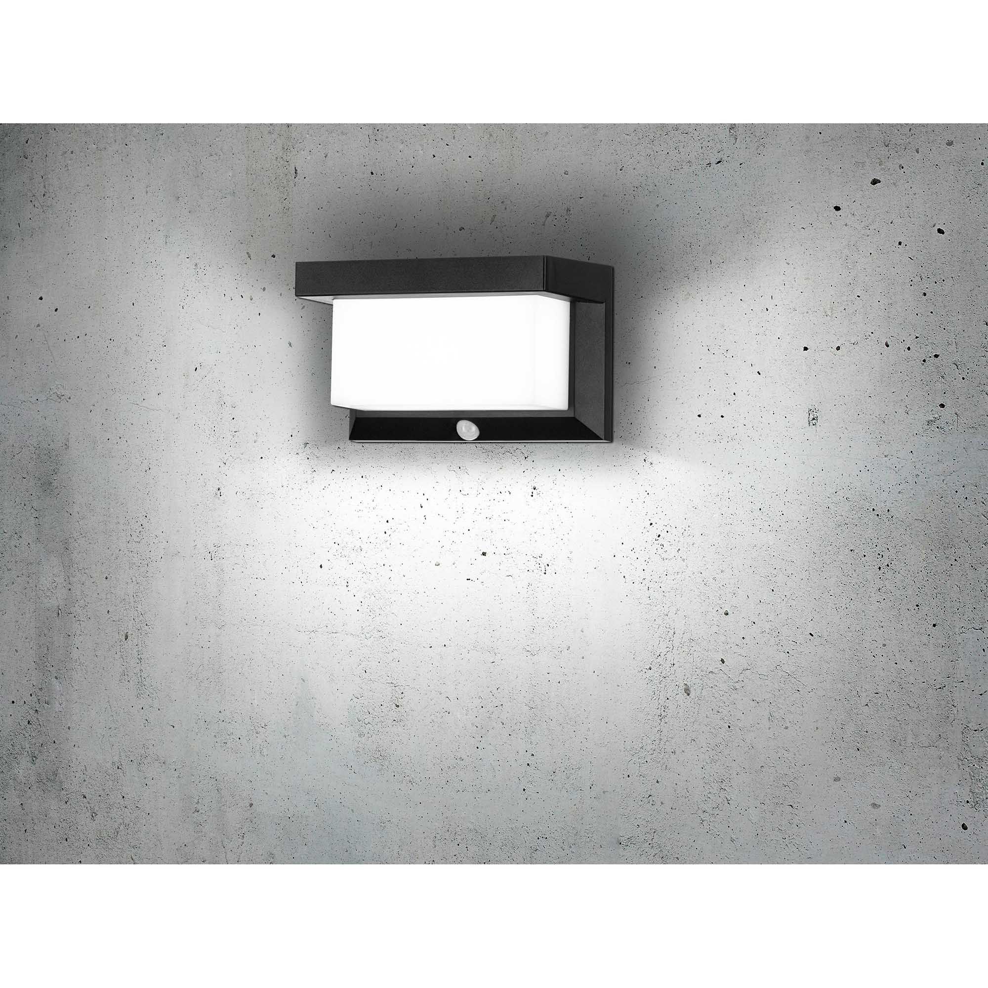 Applique extérieure LED UTRERA noir H12cm