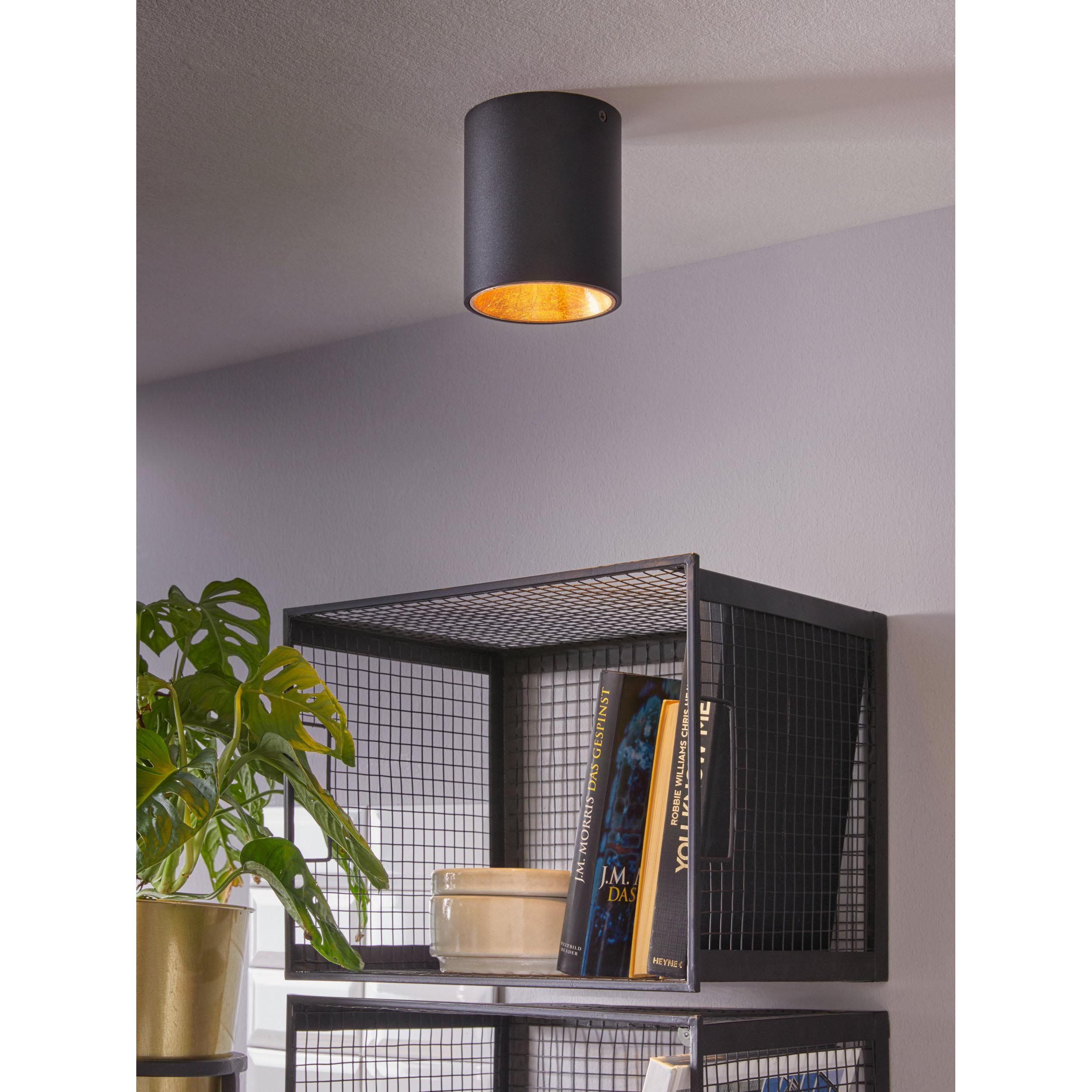 Plafonnier plastique noir/doré POLASSO rond LED INT 1X3,3W