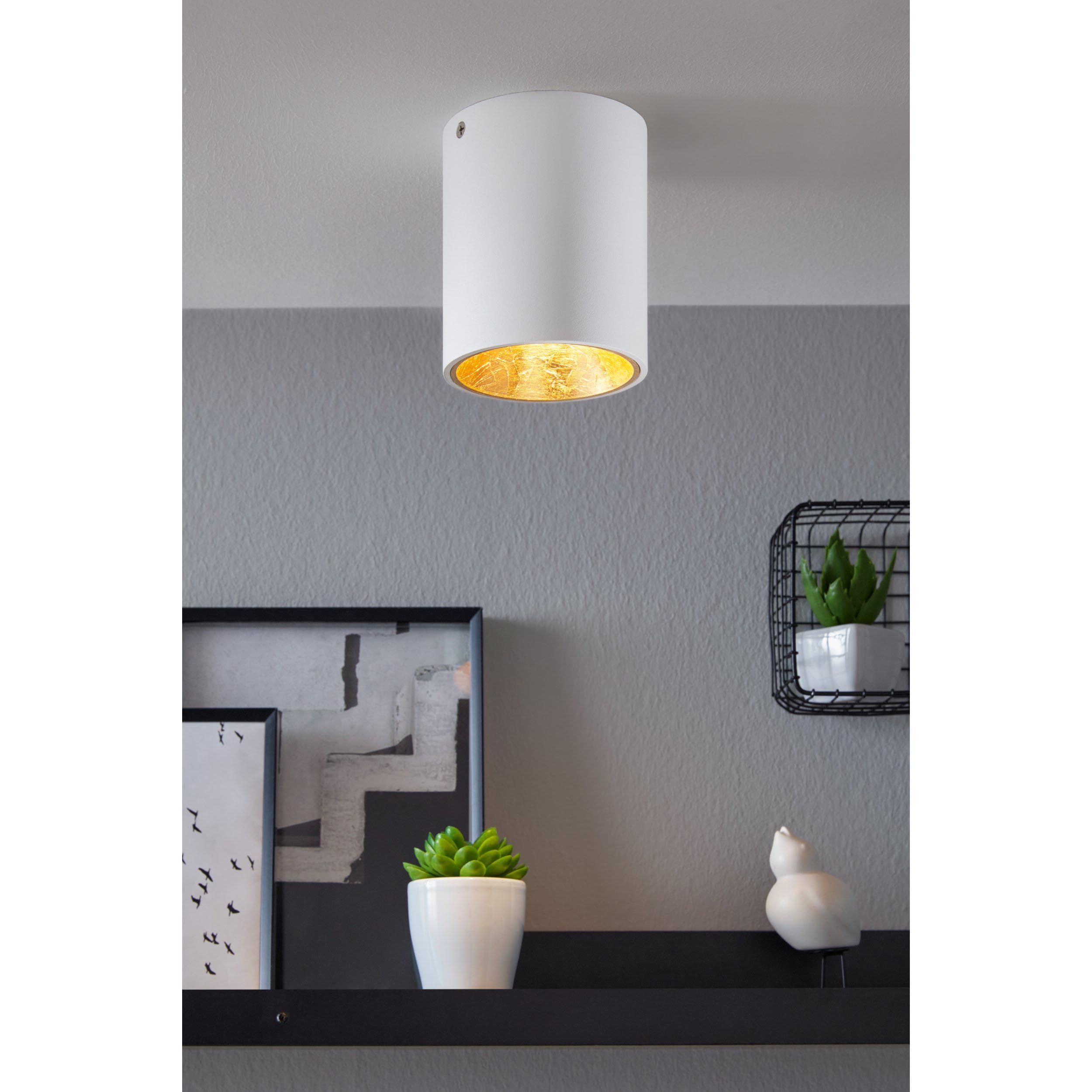 Plafonnier plastique blanc/doré POLASSO rond LED INT 1X3,3W