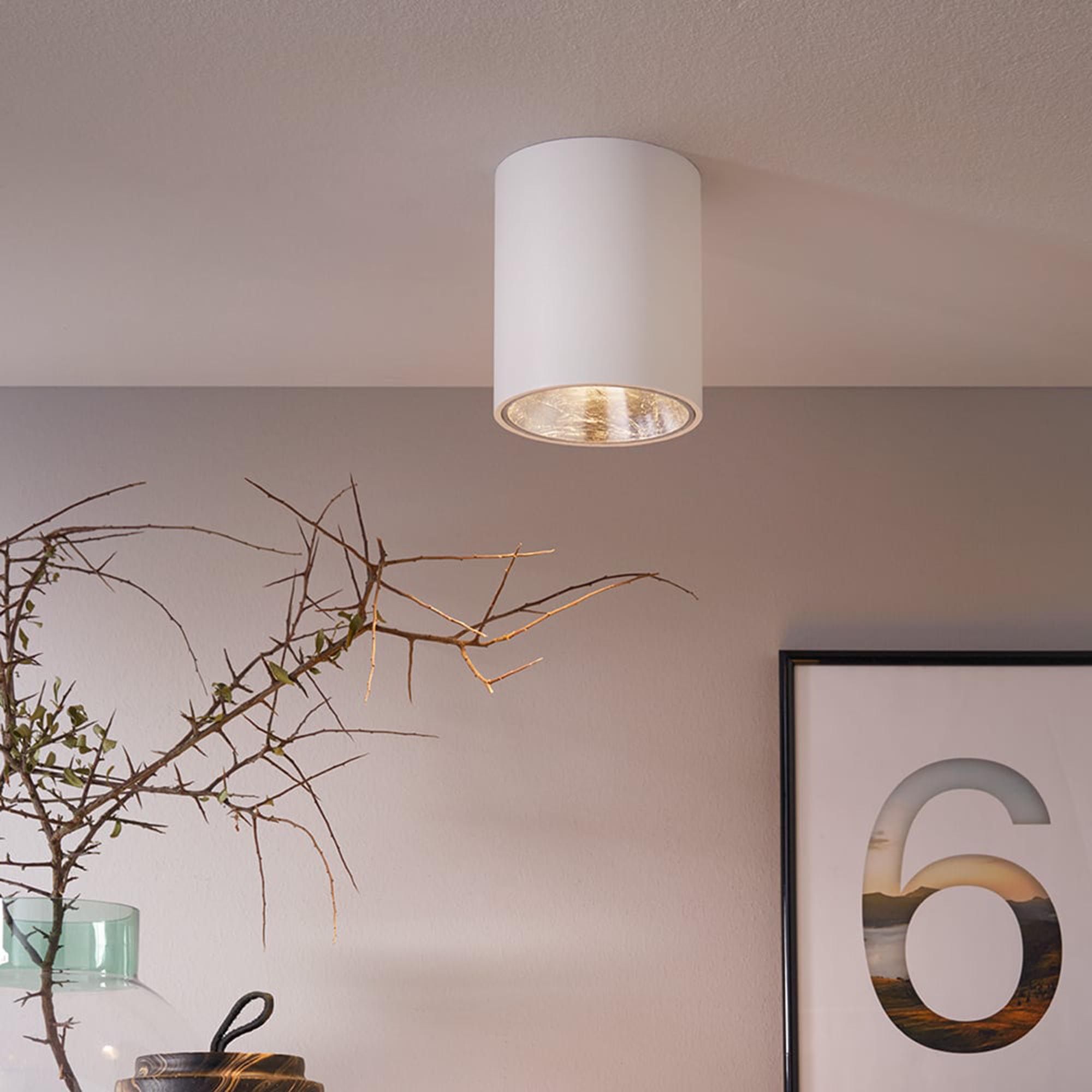 Plafonnier LED POLASSO blanc/argenté Ø10cm