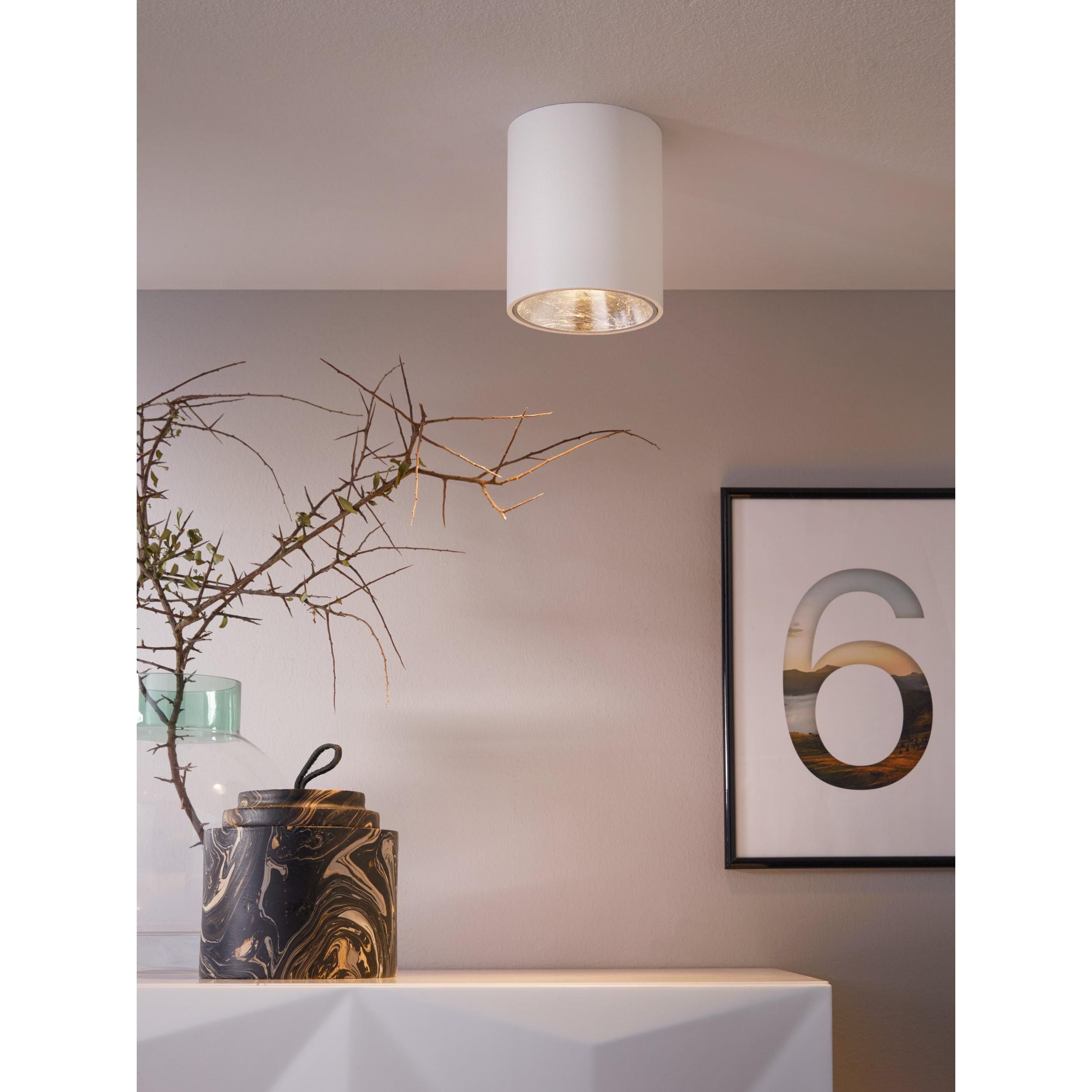 Plafonnier LED POLASSO blanc/argenté Ø10cm