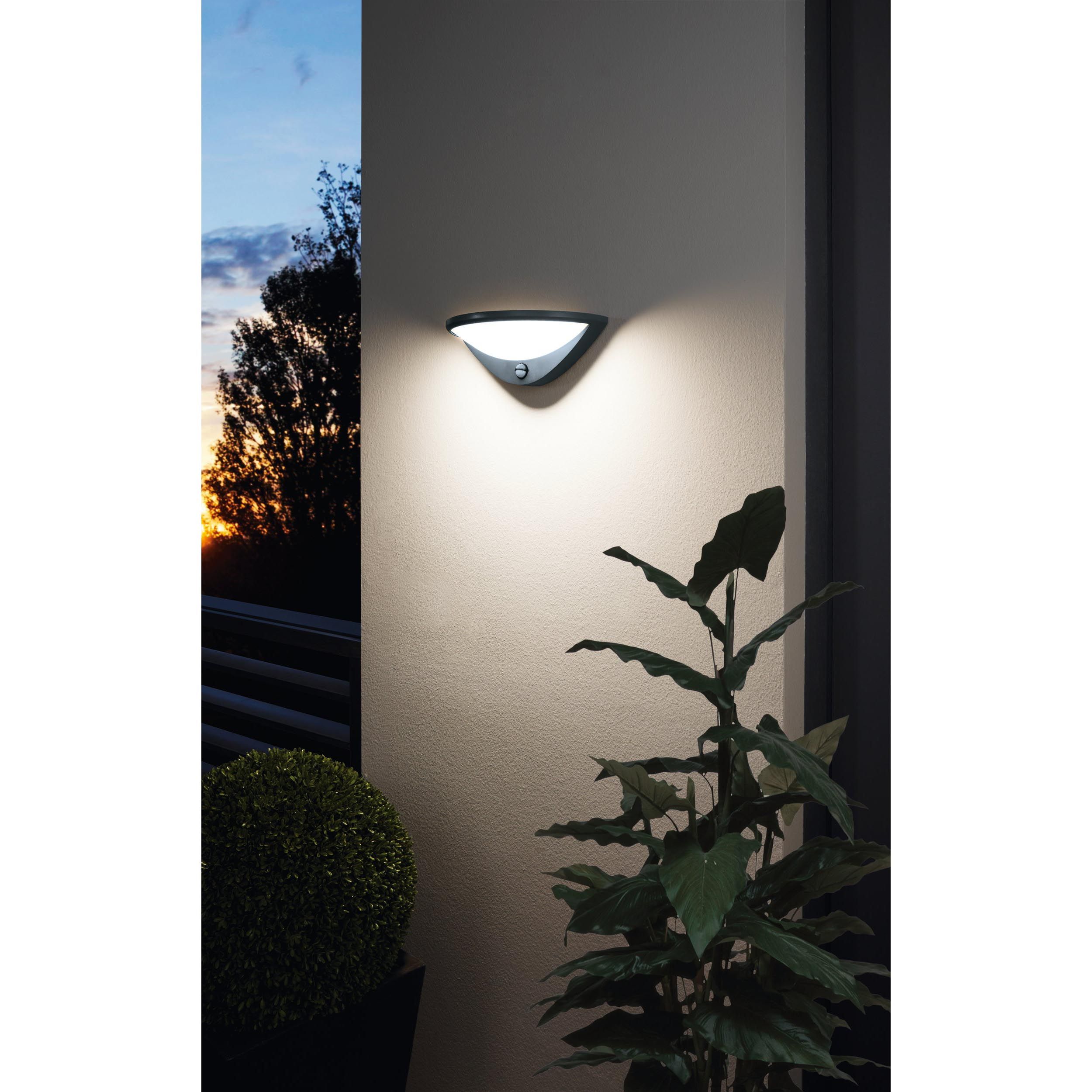 Applique extérieure BELCREDA anthracite H12,5cm