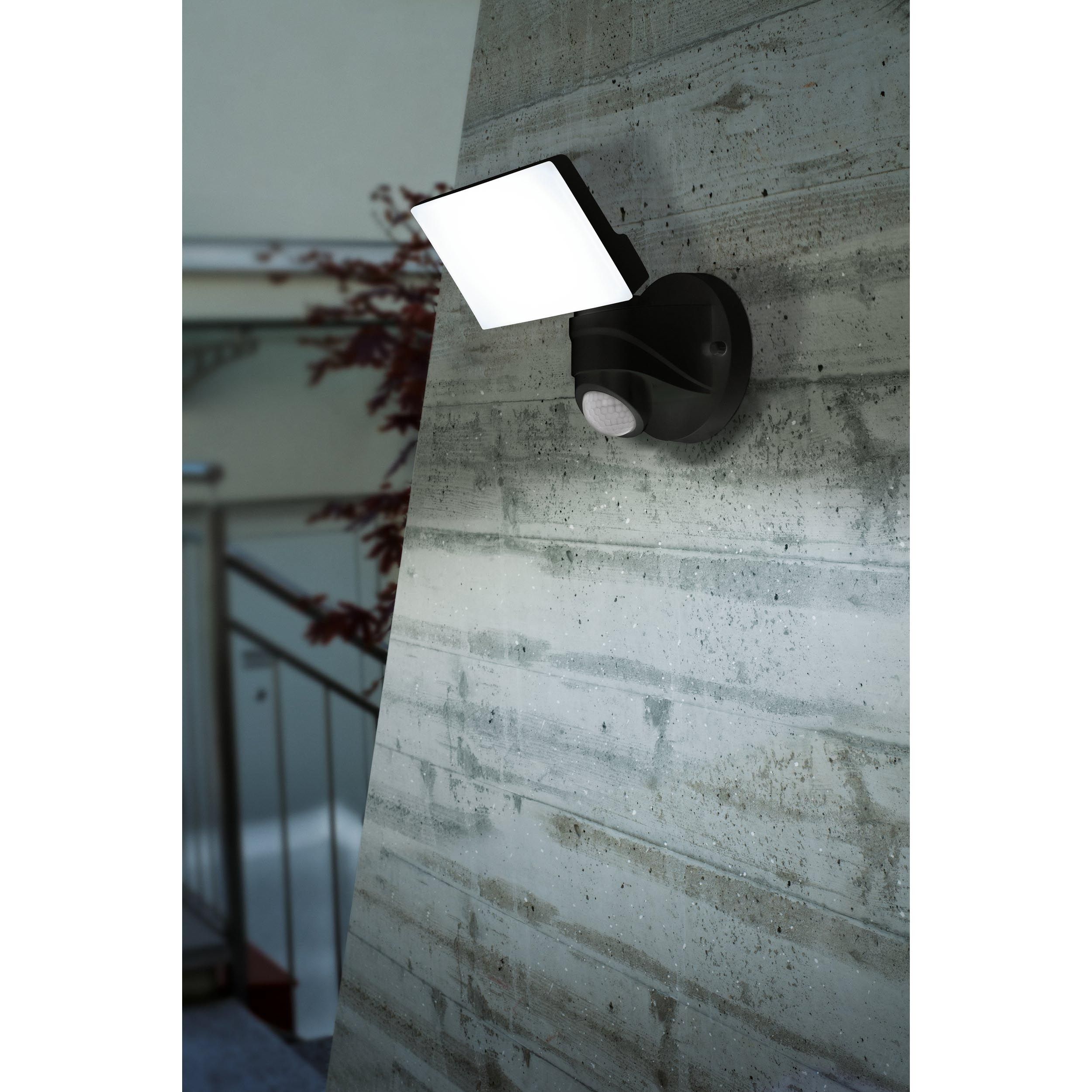 Applique extérieure LED PANIGO noir H26cm