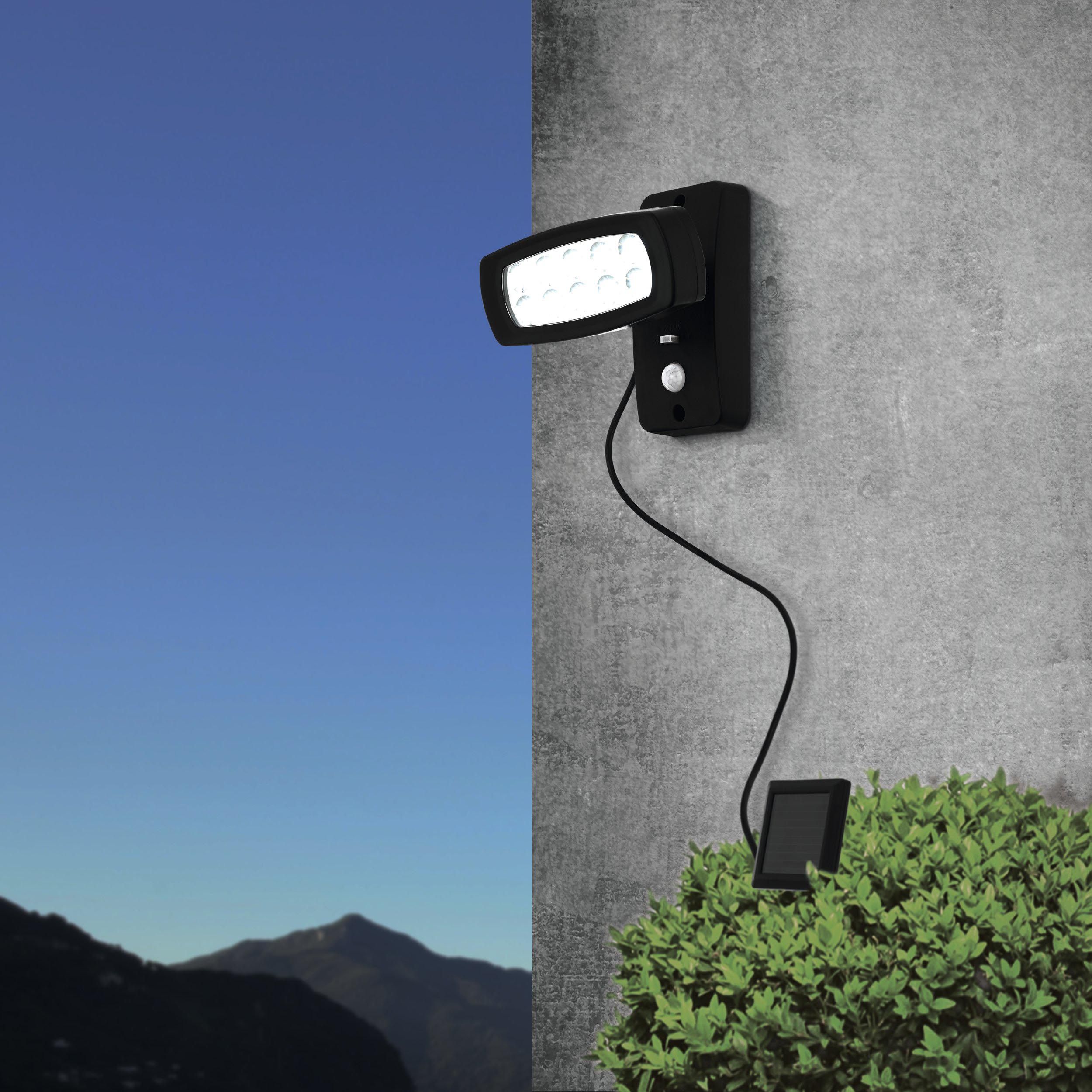 Applique extérieure LED PALIZZI noir H15,5cm