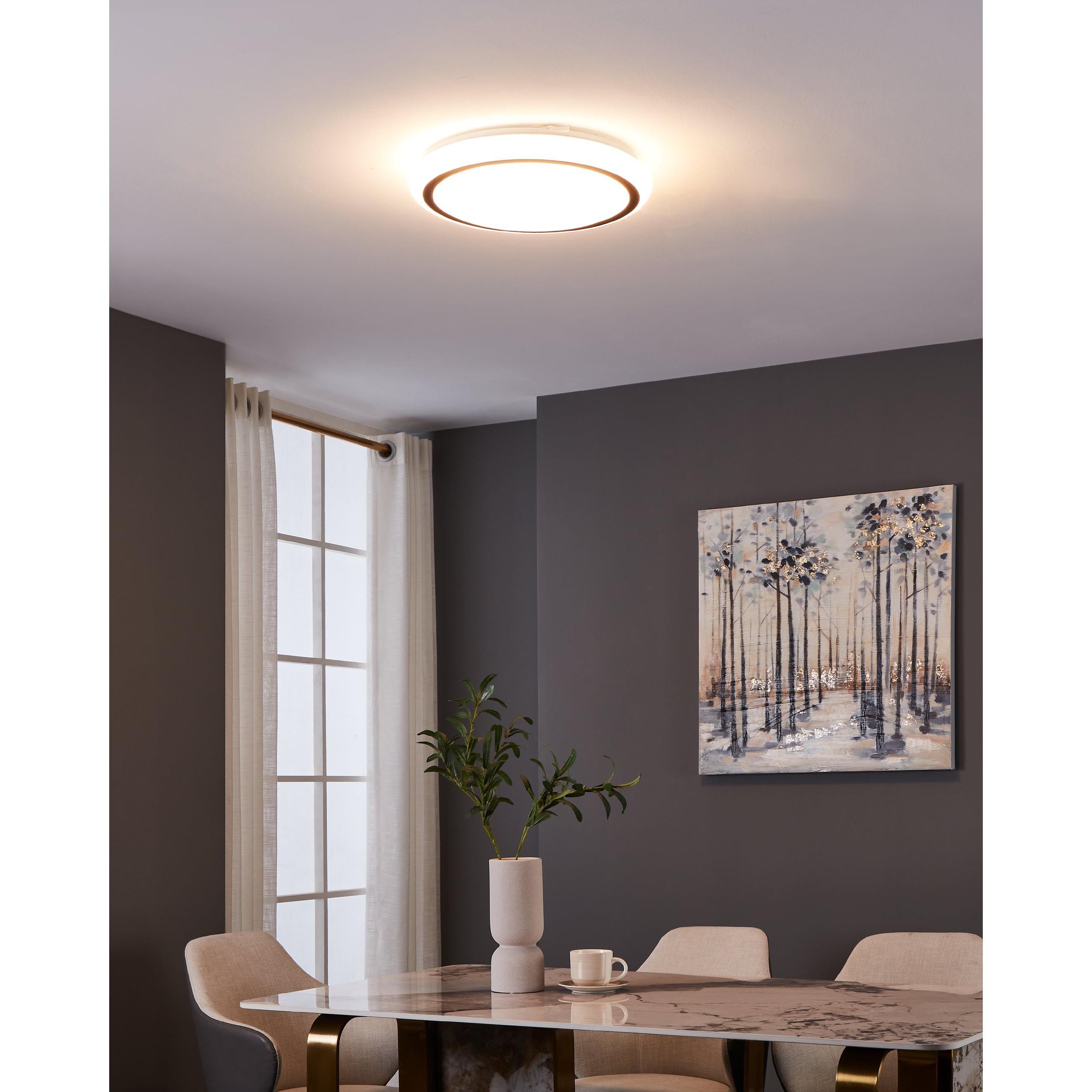 Plafonnier plastique blanc CAPASSO LED INT 1X14,6W