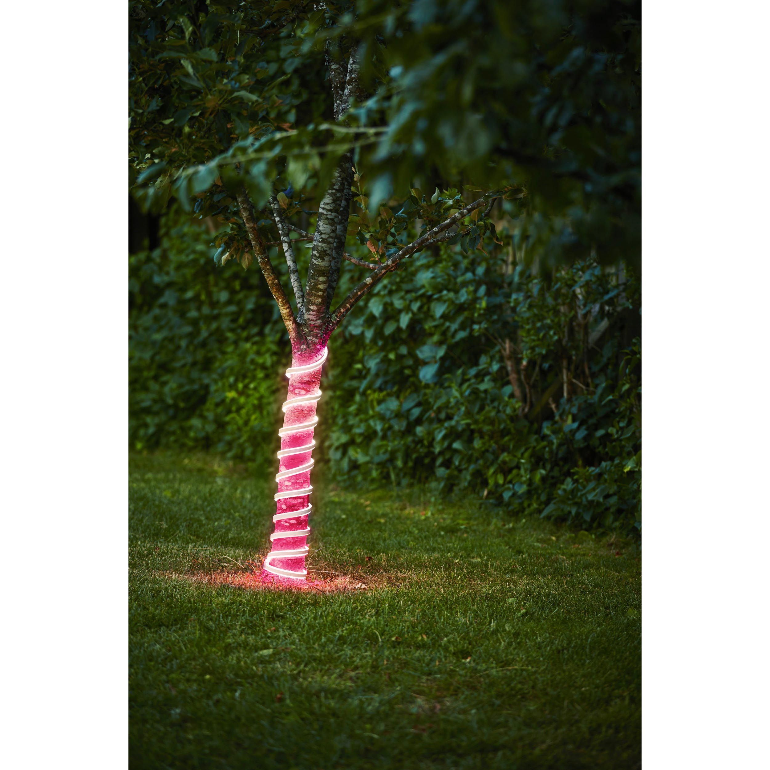 Ruban lumineux extérieur LED FLATNEONLED rose L500cm