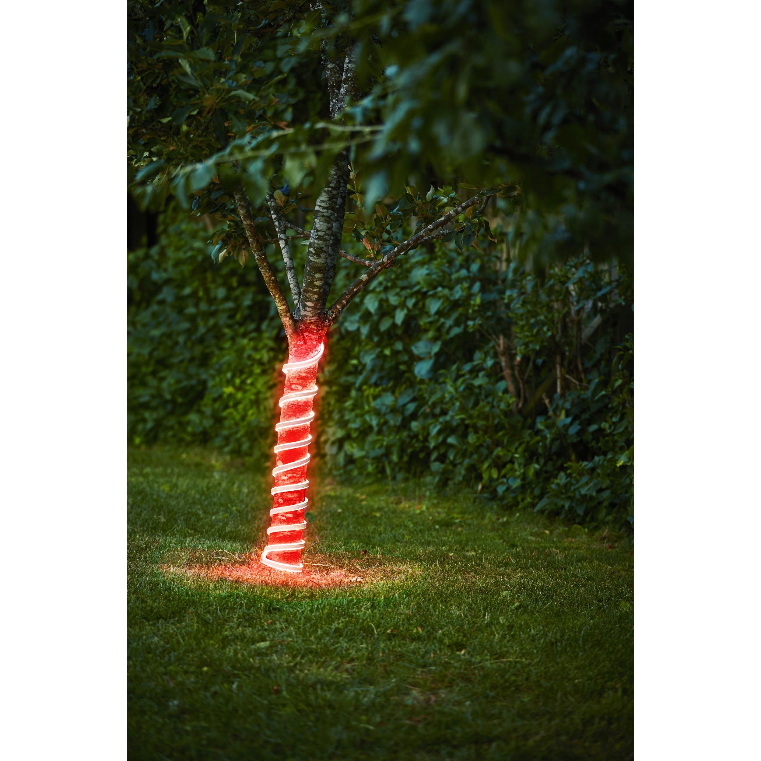Ruban lumineux extérieur LED FLATNEONLED rouge L500cm
