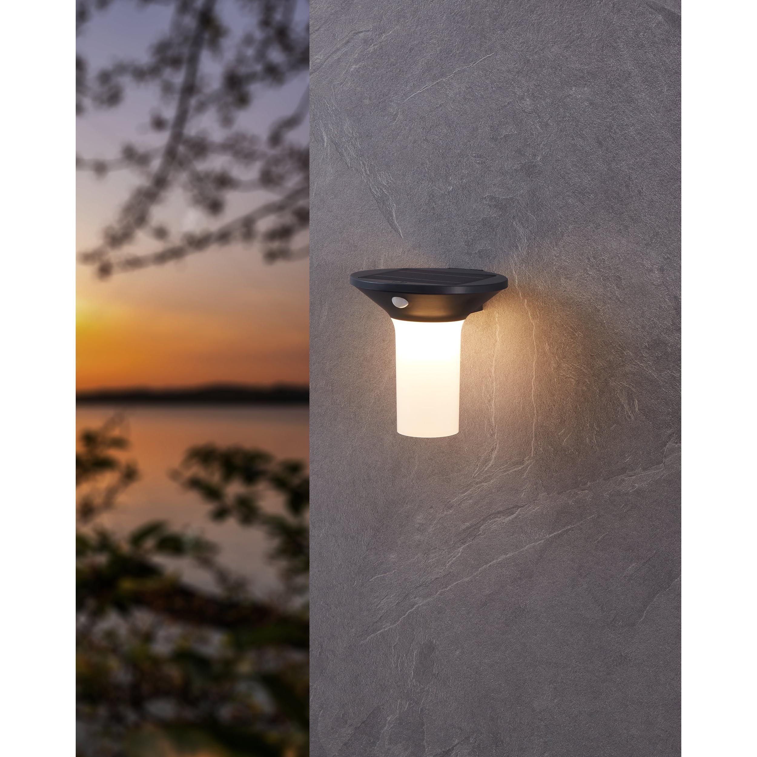 Applique extérieure plastique noir CORBEZZOLA LED INT 6X0,03W