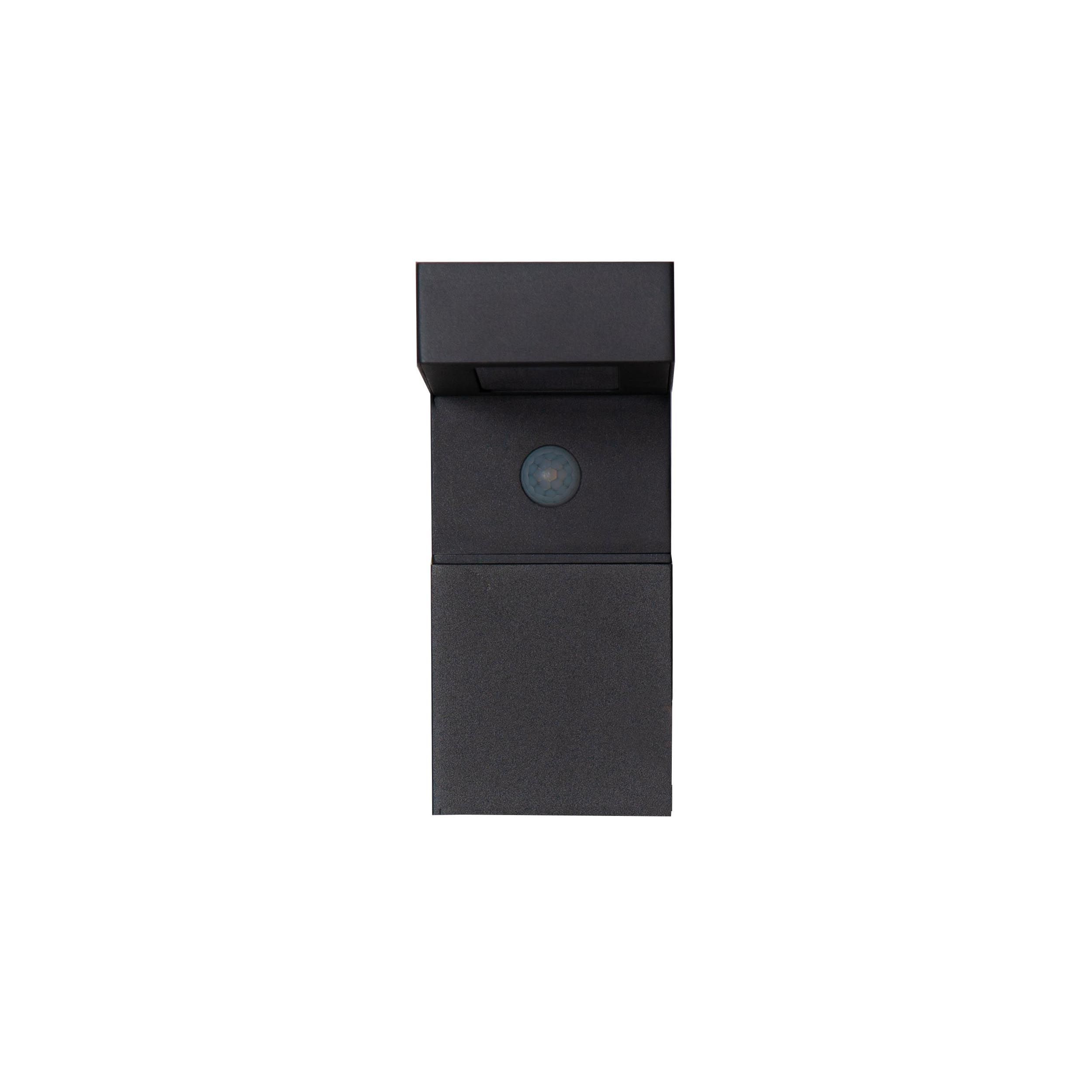 Applique extérieure LED BARACCONI noir H20cm