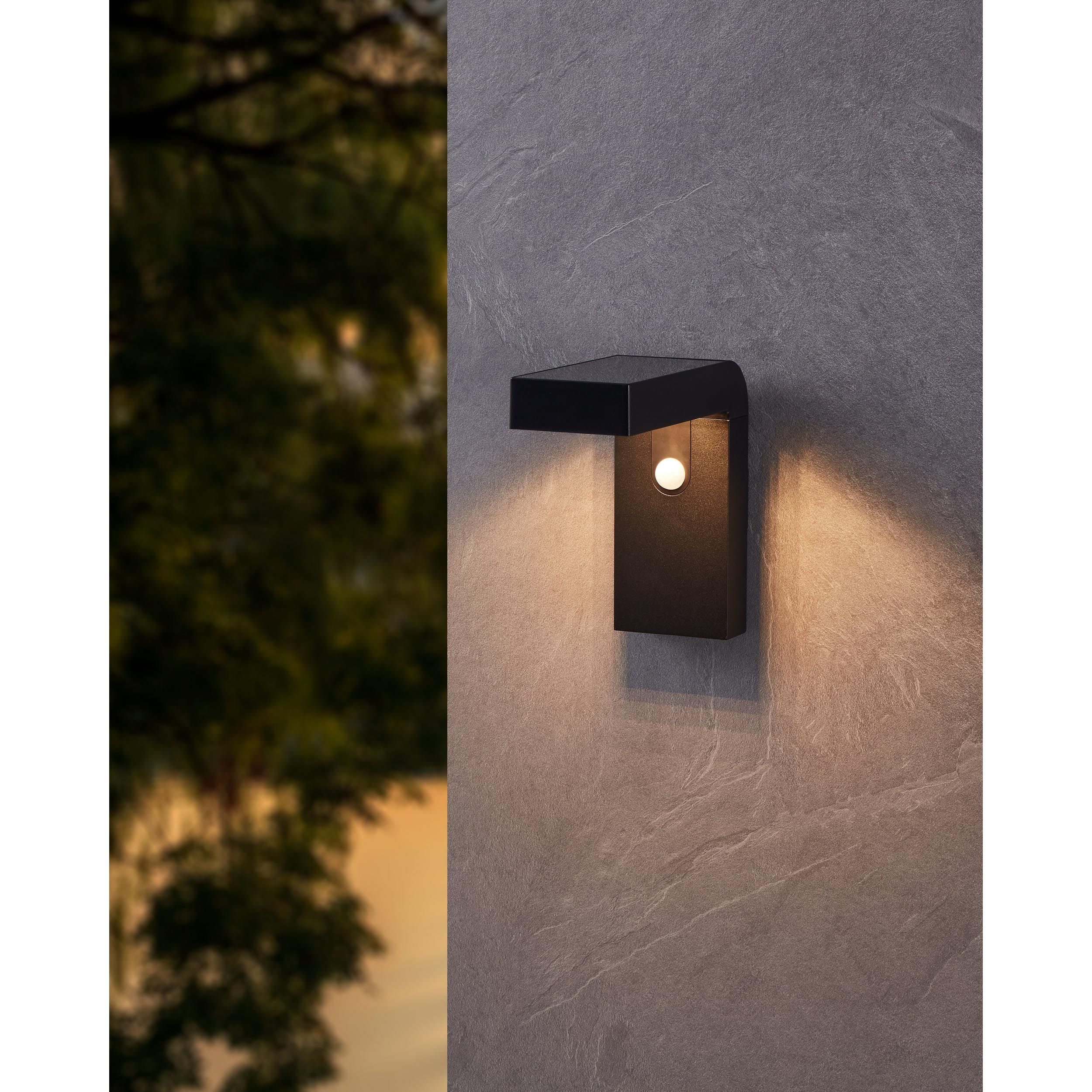Applique extérieure LED BARACCONI noir H20cm