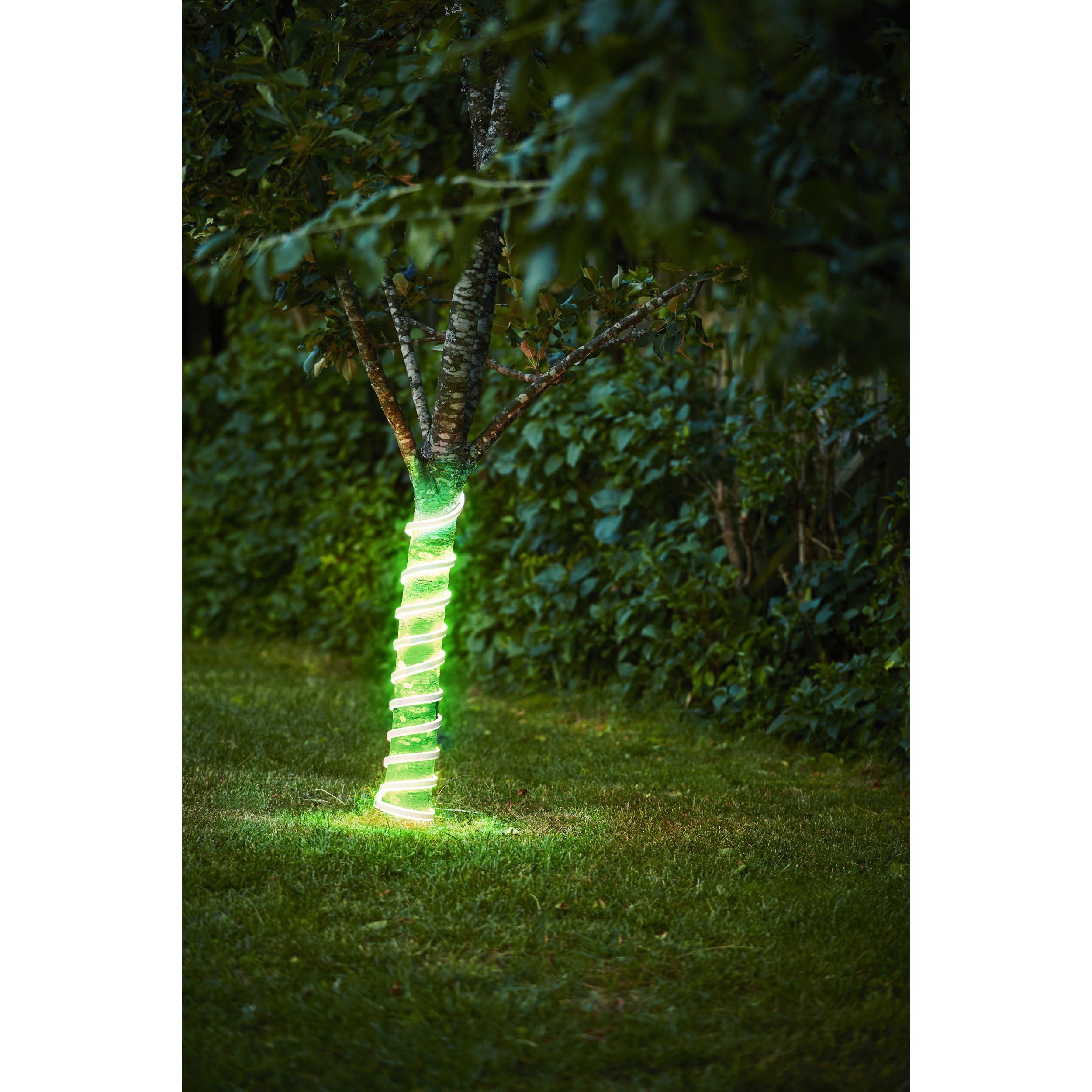 Ruban lumineux LED dimmable FLATNEON Z blanc L300cm