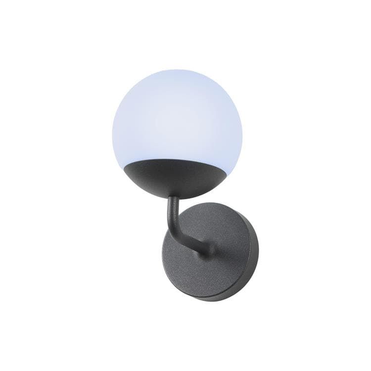 Applique murale d'extérieur MOOON! interrupteur connecté carbone Ø15cm