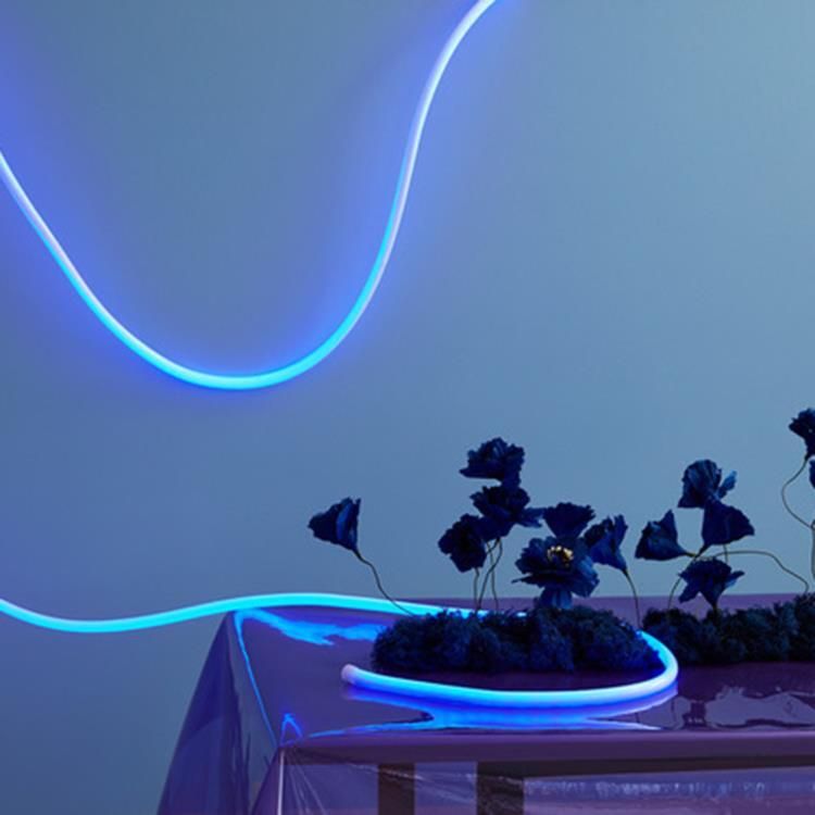 Lampe néon LED FLEX TUBE Silicone bleu 5m