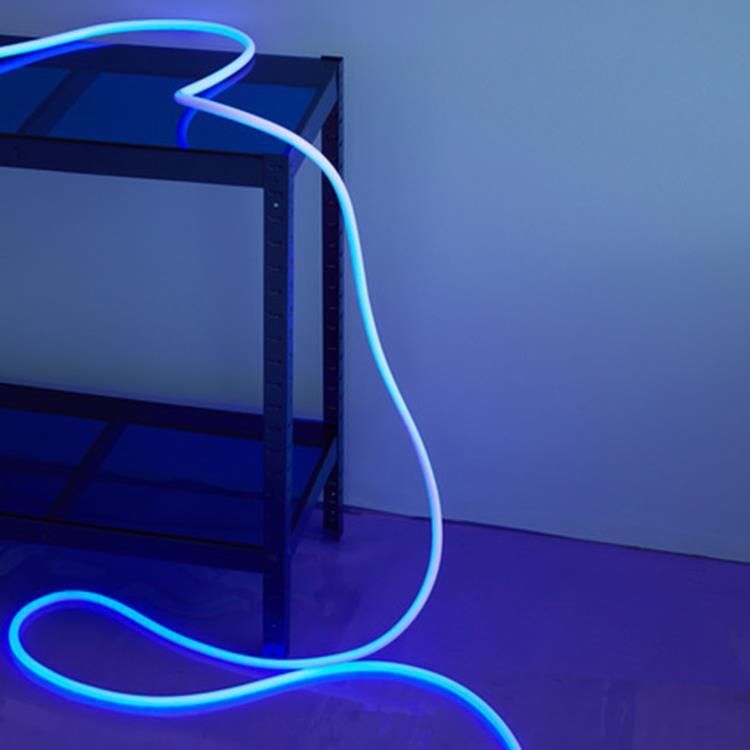 Lampe néon LED FLEX TUBE Silicone bleu 5m