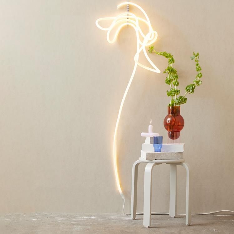 Lampe néon LED FLEX TUBE Silicone 5m