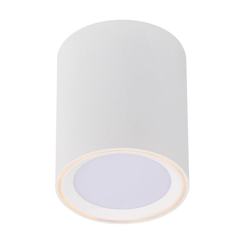 Spot LED Dimmable FALLON blanc H12cm