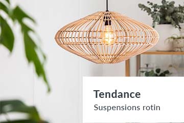 Tendance, Suspensions rotin
